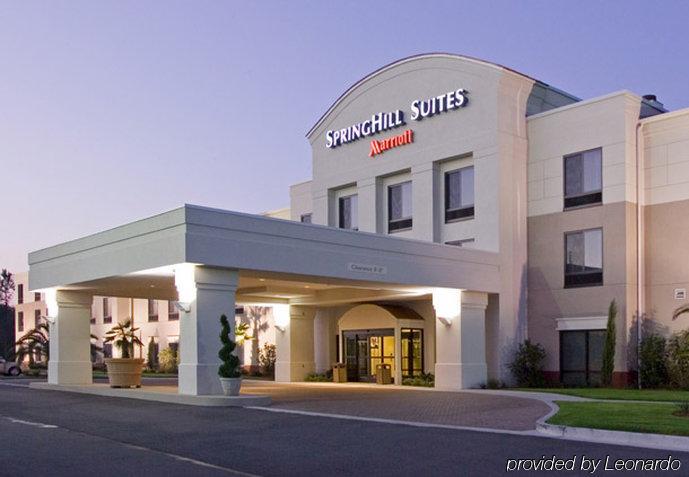 สปริงฮิลล์ สวีท คอร์พัส คริสติ Hotel คอร์ปัสคริสตี ภายนอก รูปภาพ